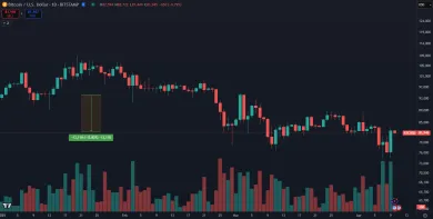 Pokles Bitcoinu v roku 2025