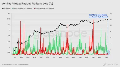 Pomer realizovanej straty a zisku