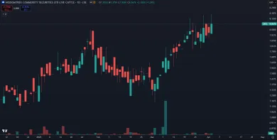 Rast CATL ETF v roku 2025