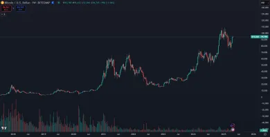 Volatilita Bitcoinu je obrovská