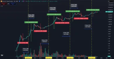 Bitcoin formuje stále menej ziskový cyklus