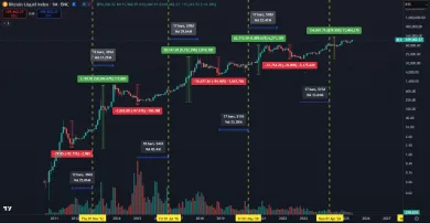 Bitcoin je extrémne volatilný