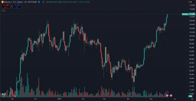 Bitcoin prekonal historické maximum