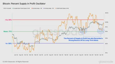 Bitcoinoví držitelia v zisku