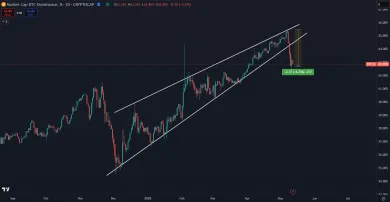 Dominancia Bitcoinu ustupuje