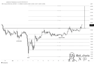 Expert predpovedá rast XRP