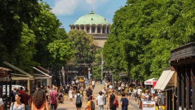 Hoci nebudete pri mori, Sofia si získa vaše srdce