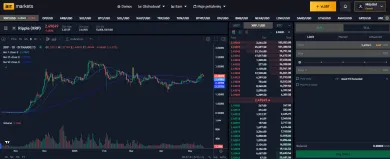 Kryptomena XRP na burze BITmarkets