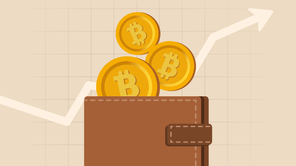 Kryptomenové peňaženky