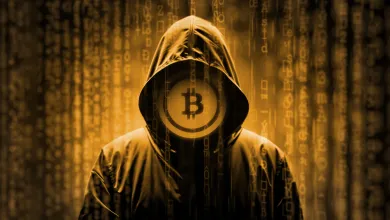 Kryptomeny a ich anonymita