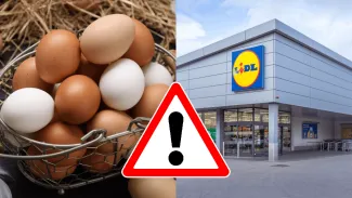 Lidl sťahuje z predaja vajcia