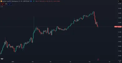 Nedávny pád bitcoinovej dominancie