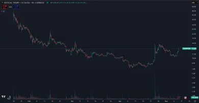 Nedávny pád kryptomeny TRUMP