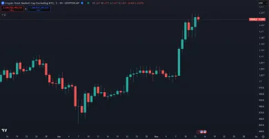 Rast kapitalizácie altcoinov