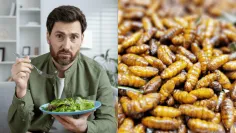 Slováci sa boja hmyzu v potravinách