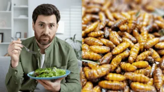 Slováci sa boja hmyzu v potravinách