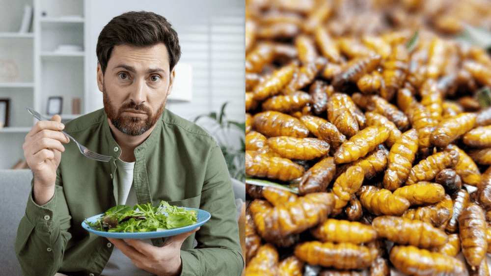 Slováci sa boja hmyzu v potravinách