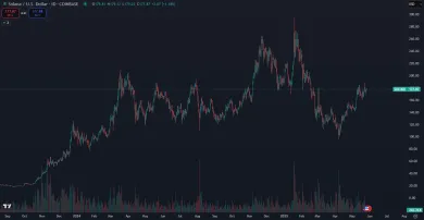 Solana je vysoko zisková kryptomena