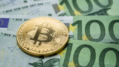 Top kryptomeny do portfólia na rok 2025