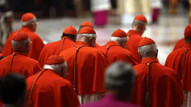 Vatikán a jeho denný príjem