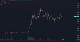 XRP a jeho vzostup