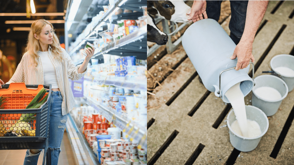 Za mliečne výrobky budeme platiť viac