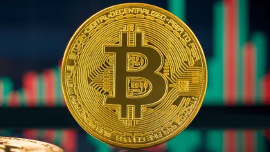 Bitcoin a jeho ďalší vývoj