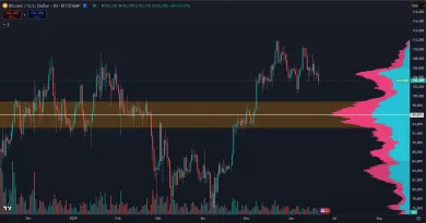 Bitcoin a jeho hlavný support