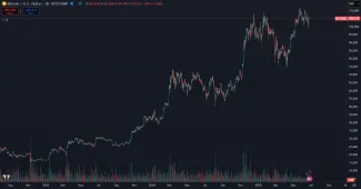 Bitcoin a jeho rast v tomto cykle