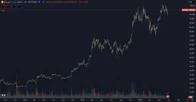 Bitcoin a jeho rast v tomto cykle