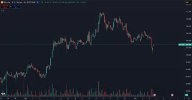 Bitcoin a jeho trhová cena