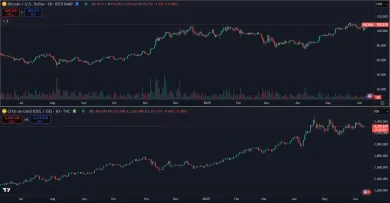 Bitcoin a zlato za posledný rok