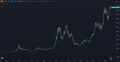 Bitcoin dlhodobo rastie na hodnote