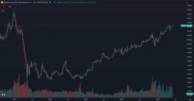 Bitcoin dominuje už 3. rok