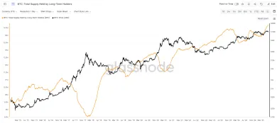Bitcoin držaný dlhodobými držiteľmi je na vrchole