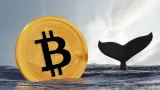 Bitcoin ovládli veľké ryby