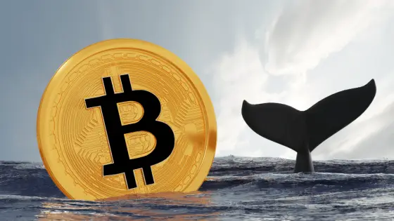 Bitcoin ovládli veľké ryby