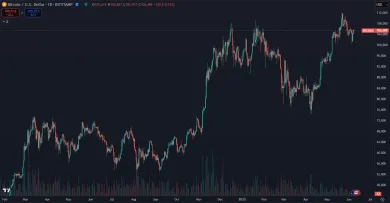 Bitcoin rastie stále na nové maximá