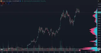Bitcoin v tomto cykle jasne dominuje