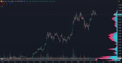 Bitcoin v tomto cykle jasne dominuje