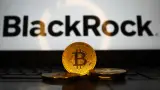 BlackRock nakúpil kryptomeny za stovky miliónov