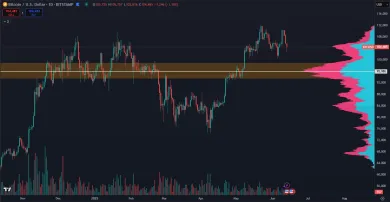 Dlhodobý support Bitcoinu