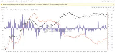 Ethereum zaznamenalo výrazný rast veľkých investorov