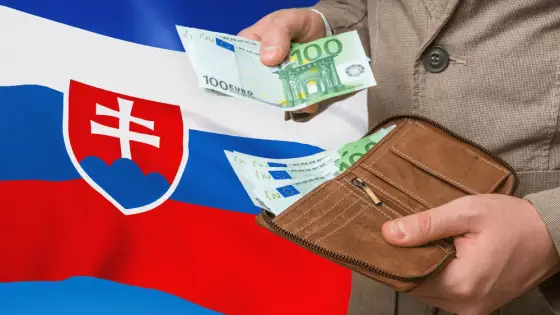 Hlavný ekonóm NBS na margo Slovenska