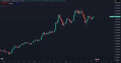 HYPE dlhodobo rastie