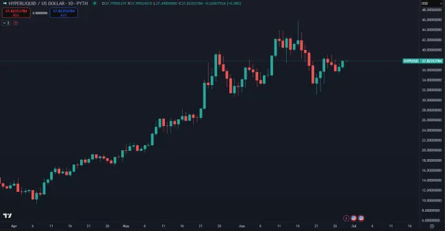 HYPE dlhodobo rastie