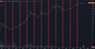 Pohyby Bitcoinu počas letného obdobia