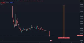 Pokles kryptomeny TST