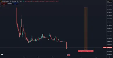 Pokles kryptomeny TST