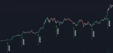 Pravidelné investovanie je najefektívnejšie